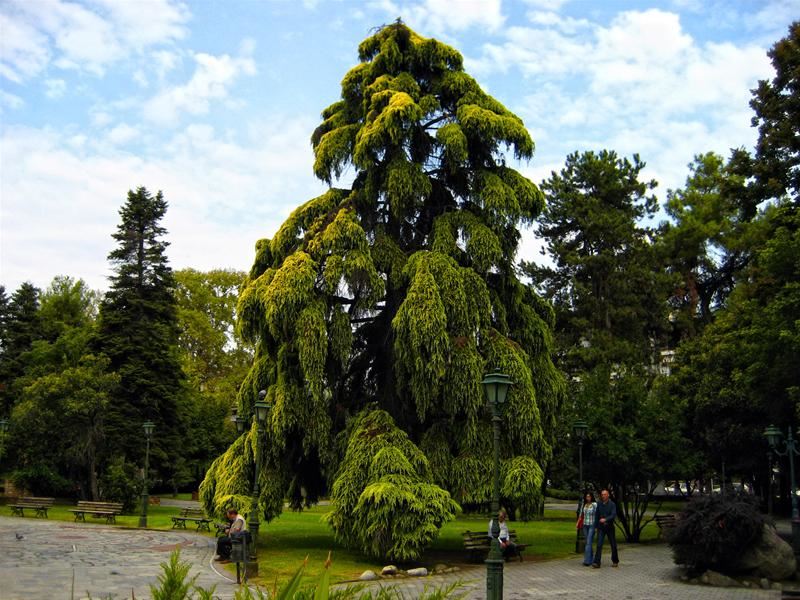 -25% Revelion Paralia Katerini  ᐈ 33 Hoteluri